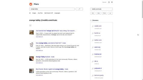 bunkr.flaru|Flaru Alternatives: Top 6 Web Search Engines.